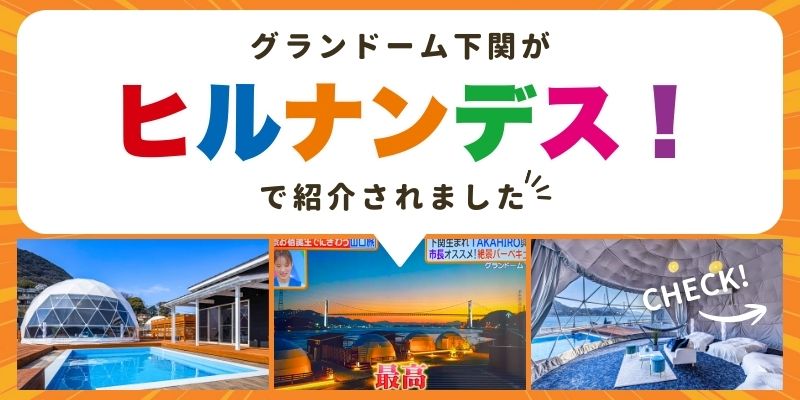 ヒルナンデス紹介