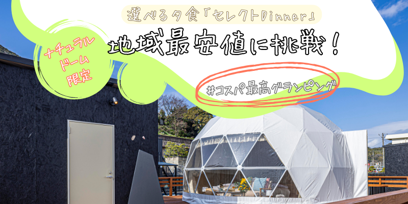 地域最安値プラン